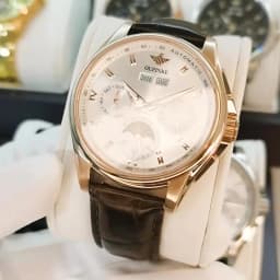 OUPINKE 3189 Men's Watch Top Luxury Brand Automatic Mechanical Watch Fashion Leather Waterproof Sapphire Mirror Moon Men's Watch