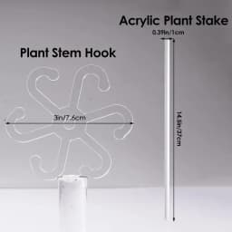 Plant Stem Hook With Stake Holder Clear Acrylic Plant Holder Hook Climbing Plant Support Clips for Orchid Rose Flowers