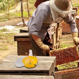 Beekeeping Tools Bee Feeder Drinking Bowl Round Hive Top Beehive Drinking Bowls Food Container Beekeeping Equipments