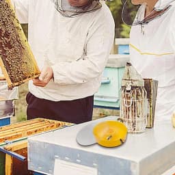 Beekeeping Tools Bee Feeder Drinking Bowl Round Hive Top Beehive Drinking Bowls Food Container Beekeeping Equipments