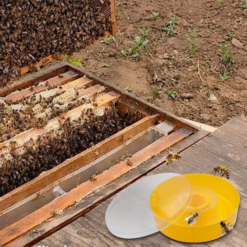 Beekeeping Tools Bee Feeder Drinking Bowl Round Hive Top Beehive Drinking Bowls Food Container Beekeeping Equipments