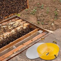 Beekeeping Tools Bee Feeder Drinking Bowl Round Hive Top Beehive Drinking Bowls Food Container Beekeeping Equipments