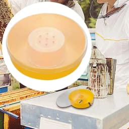 Beekeeping Tools Bee Feeder Drinking Bowl Round Hive Top Beehive Drinking Bowls Food Container Beekeeping Equipments