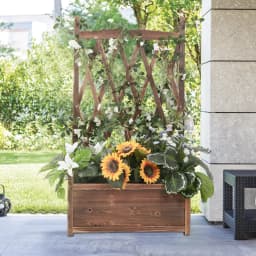 Raised Garden Bed Elevated Wood Planter Box with Trellis for Growing Fresh Herbs Flowers