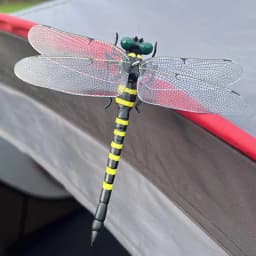 Clip On Dragonfly Fake Dragonflies Simulated Dragonfly Pin Artificial Large Dragonfly Clips Fly Repelling Supplies Attach To