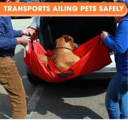Dog Stretcher Carrier Animal Carrier Stretcher Multifunctional Foldable Design Patient Pet Transfer Rescue Tool With Safety