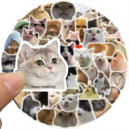 Wonderful Cute Cat Sticker Set - Perfect for Jazzing up Water Bottles, Laptops, Guitars, and Skateboards - 50pcs - A Fantastic I