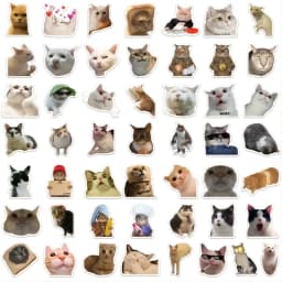 Wonderful Cute Cat Sticker Set - Perfect for Jazzing up Water Bottles, Laptops, Guitars, and Skateboards - 50pcs - A Fantastic I