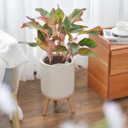 New Automatic Self-Watering Flower Pot With Water Level For Home Indoor Outdoor Garden Flower Pot With Wooden Bracket Home Decor
