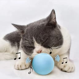 Interactive Cat Toy Ball Cute And Fun Electric Funny Cat Turntable Toy Fun Mental Physical Exercise Puzzle Kitten Toys With