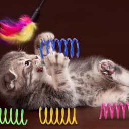 Cat Spring Toy 4PCS Kitten Springs Coil Indoor Cat Toys Colorful Coil Spiral Springs Pet Action Wide Durable Interactive Toys