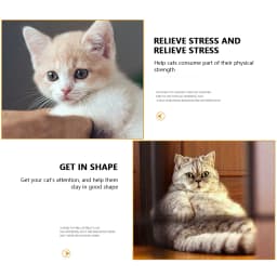 Cat Spring Toy 4PCS Kitten Springs Coil Indoor Cat Toys Colorful Coil Spiral Springs Pet Action Wide Durable Interactive Toys