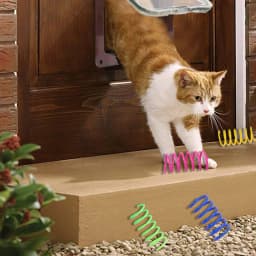Cat Spring Toy 4PCS Kitten Springs Coil Indoor Cat Toys Colorful Coil Spiral Springs Pet Action Wide Durable Interactive Toys