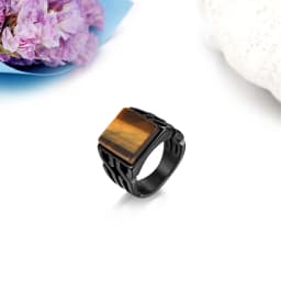 BONISKISS Vintage Men's Ring Tiger Eye Stone Punk Classic Black Color Ring Male Stainless Steel Ring Bijoux Aneis Jewelry Gift