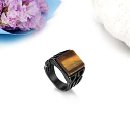 BONISKISS Vintage Men's Ring Tiger Eye Stone Punk Classic Black Color Ring Male Stainless Steel Ring Bijoux Aneis Jewelry Gift