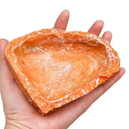 Reptile Water Dish 2pcs Resin Reptile Food Water Dishes Reptile Water Bowls Tank Aquarium Accessory Reptile Feeding Dish For