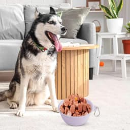 Folding Dog Bowl Food Grade Silicone Folding Water Bowl For Pets Multifunctional Pet Feeder With Buckle Portable Leakproof