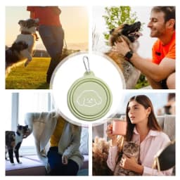 Folding Dog Bowl Food Grade Silicone Folding Water Bowl For Pets Multifunctional Pet Feeder With Buckle Portable Leakproof