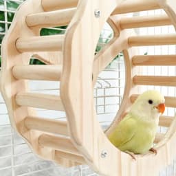 Bird Climbing Toys Folding Climbing Ladder Multi-purpose Beak Grinding Toys Bird Cage Accessories For Standing Climbing Resting