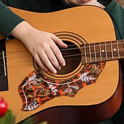 Guitar Pick Guards Guitar Self-Adhesive Scratch Plate Guitar Protector Set Of 10 Versatile Anti-Scratch Guard Plate Guitar