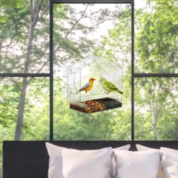 Weatherproof Window Bird House Acrylic Window Bird Feeder For Outside Clear Bird Feeders For Viewing Blue Jays Finches