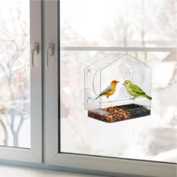 Weatherproof Window Bird House Acrylic Window Bird Feeder For Outside Clear Bird Feeders For Viewing Blue Jays Finches