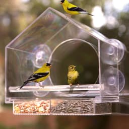 Weatherproof Window Bird House Acrylic Window Bird Feeder For Outside Clear Bird Feeders For Viewing Blue Jays Finches