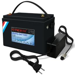 New 24V 60Ah Lithium Iron Phosphate Battery Built-in BMS LFP LiFePO4 Battery For RV Wind Solar Energy Scooter Tricycle Boat