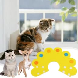Soft Cat Recovery Collar Adjustable Anti Bite Sun Flower Neck Collar Pet Health Supplies For Cat Kitten Puppy And Dog