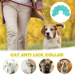 Soft Cat Recovery Collar Adjustable Anti Bite Sun Flower Neck Collar Pet Health Supplies For Cat Kitten Puppy And Dog