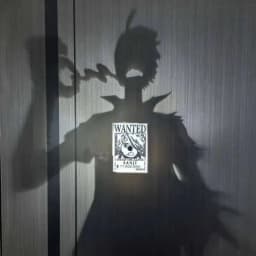 New Zoro Wall Lamp Figure One Piece Nami Doflamingo Light Anime The Phantom Thief Kaitou Kiddo Night Light Model Toys