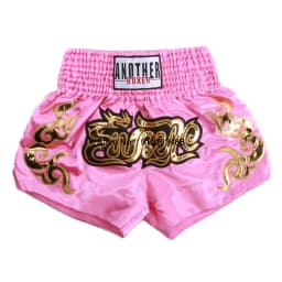 Muay Thai Shorts 2024 New Boxing Shorts Women Men Child Embroidery Kickboxing Training Pants Sanda Martial Arts Fight Equipment