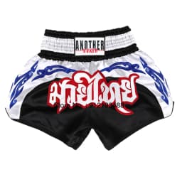 Muay Thai Shorts 2024 New Boxing Shorts Women Men Child Embroidery Kickboxing Training Pants Sanda Martial Arts Fight Equipment