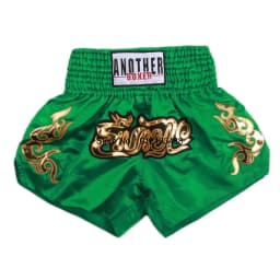 Muay Thai Shorts 2024 New Boxing Shorts Women Men Child Embroidery Kickboxing Training Pants Sanda Martial Arts Fight Equipment