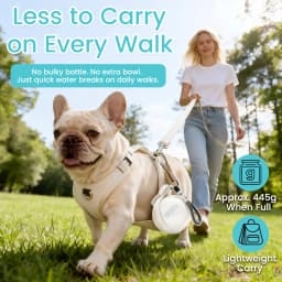 Portable Dog Water Bottle, 10 oz Stainless Steel Pet Travel Dispenser with Silicone Foldable Bowl, Leak Proof Tumbler