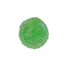 Sensory Slushie Squeeze Ball 1PC Reusable Crunchy Crackling Toy for Stress Relief Calm Fidget Play at Work Home