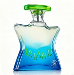 NYC series 20 neutral perfume, new products are launched, there are a variety of perfume to choose from, 3.4oz100ml, new products on the market, noble gift boxes, unique fragrance, luxury gifts, suitable for multiple places, the best choice for gifts