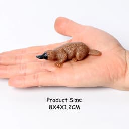 Realistic Australian Wildlife Animal Figurines Emu Koala Platypus Kangaroo Echidna Tasmaniandevil Forest Model Figures Toys