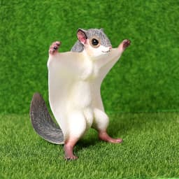 Realistic Australian Wildlife Animal Figurines Emu Koala Platypus Kangaroo Echidna Tasmaniandevil Forest Model Figures Toys