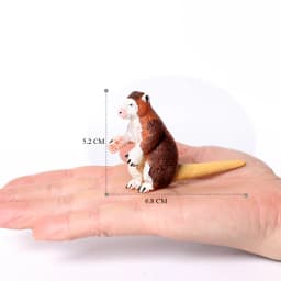 Realistic Australian Wildlife Animal Figurines Emu Koala Platypus Kangaroo Echidna Tasmaniandevil Forest Model Figures Toys