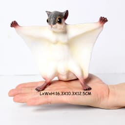 Realistic Australian Wildlife Animal Figurines Emu Koala Platypus Kangaroo Echidna Tasmaniandevil Forest Model Figures Toys