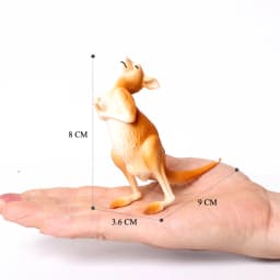 Realistic Australian Wildlife Animal Figurines Emu Koala Platypus Kangaroo Echidna Tasmaniandevil Forest Model Figures Toys