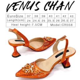 Venus Chan- Green Color High Heels for Ladies Popular Design African Ladies Shoes and Bag Set INS Style Elegant 2024 Newest