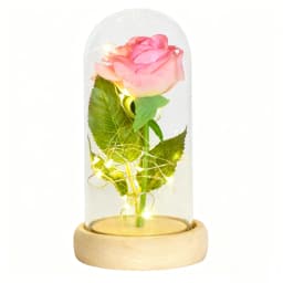 Gifts for Her Beauty and The Beast Eternal Rose In Glass Dome Artificial Forever Flower LED Light Mothers Day Gifts for Women