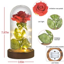 Gifts for Her Beauty and The Beast Eternal Rose In Glass Dome Artificial Forever Flower LED Light Mothers Day Gifts for Women