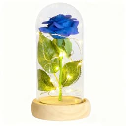 Gifts for Her Beauty and The Beast Eternal Rose In Glass Dome Artificial Forever Flower LED Light Mothers Day Gifts for Women