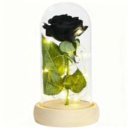 Gifts for Her Beauty and The Beast Eternal Rose In Glass Dome Artificial Forever Flower LED Light Mothers Day Gifts for Women