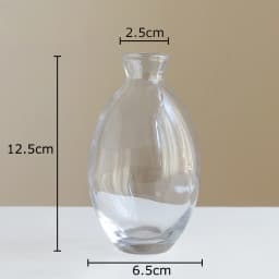 Minimalist Transparent Glass Vase Lovely Small Plant Pots Table Decoration Flower Arrangement Floral Vases Room Aesthetic Decor