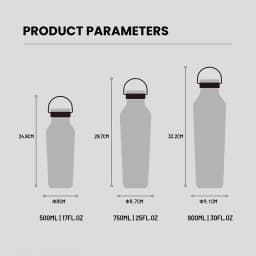 Tyeso Stainless Steel Vacuum Insulated Water Bottle Portable Durable Leak-Proof for Outdoor Sports Matte Finish Carry Handle