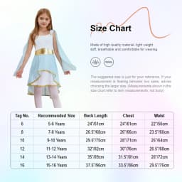 Kids Girls Roman Ancient Greek Godess Toga Costume Athena Cosplay Princess Robe Dress with Flowy Tulle Shawls Headwear Outfits